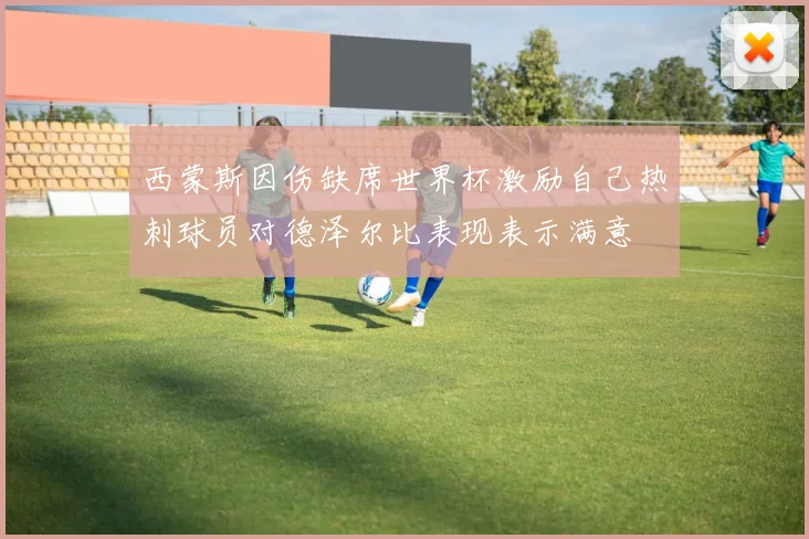西蒙斯因伤缺席世界杯激励自己热刺球员对德泽尔比表现表示满意